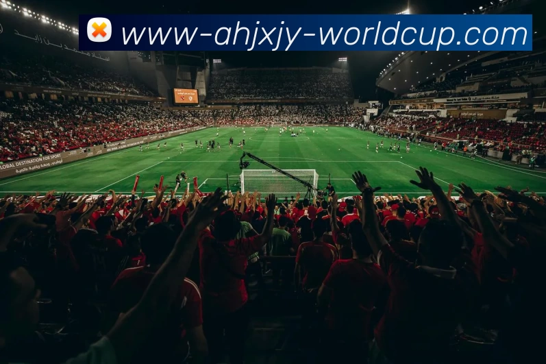2026世界杯购彩APP 高清赛事图
